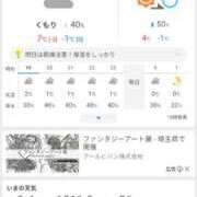 ヒメ日記 2026/01/21 19:20 投稿 ちこ ダイスキ