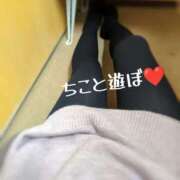 ヒメ日記 2026/01/22 11:04 投稿 ちこ ダイスキ