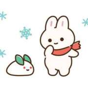 ヒメ日記 2026/01/29 19:03 投稿 ちこ ダイスキ