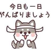 ヒメ日記 2026/02/10 07:53 投稿 ちこ ダイスキ