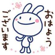 ヒメ日記 2026/02/17 09:26 投稿 ちこ ダイスキ