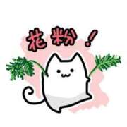 ヒメ日記 2026/02/21 11:14 投稿 ちこ ダイスキ