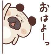 ヒメ日記 2026/02/24 08:15 投稿 ちこ ダイスキ