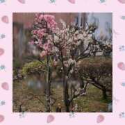 ヒメ日記 2026/02/24 10:46 投稿 ちこ ダイスキ