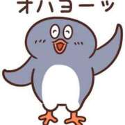 ヒメ日記 2026/02/26 09:03 投稿 ちこ ダイスキ