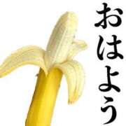 ヒメ日記 2026/02/28 06:50 投稿 ちこ ダイスキ