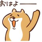 ヒメ日記 2026/03/11 09:06 投稿 ちこ ダイスキ