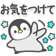 ヒメ日記 2026/05/01 12:45 投稿 ちこ ダイスキ