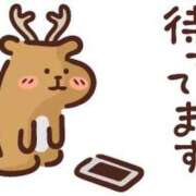 ヒメ日記 2026/05/04 15:47 投稿 ちこ ダイスキ