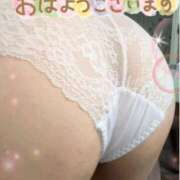 ヒメ日記 2025/12/17 07:48 投稿 宮知【みやち】 丸妻 西船橋店