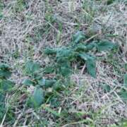 ヒメ日記 2025/12/28 09:35 投稿 宮知【みやち】 丸妻 西船橋店