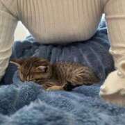 ヒメ日記 2026/01/09 12:09 投稿 宮知【みやち】 丸妻 西船橋店