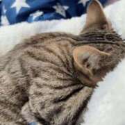 ヒメ日記 2026/01/17 08:41 投稿 宮知【みやち】 丸妻 西船橋店