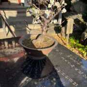 ヒメ日記 2026/01/22 23:49 投稿 宮知【みやち】 丸妻 西船橋店