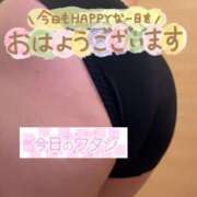 ヒメ日記 2026/02/10 09:14 投稿 宮知【みやち】 丸妻 西船橋店