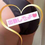 ヒメ日記 2026/02/17 12:19 投稿 宮知【みやち】 丸妻 西船橋店