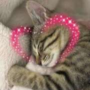 ヒメ日記 2026/03/26 09:07 投稿 宮知【みやち】 丸妻 西船橋店