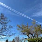 ヒメ日記 2026/04/12 08:04 投稿 宮知【みやち】 丸妻 西船橋店