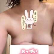 ヒメ日記 2026/04/12 10:18 投稿 宮知【みやち】 丸妻 西船橋店