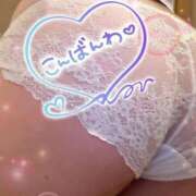 ヒメ日記 2026/04/25 21:48 投稿 宮知【みやち】 丸妻 西船橋店