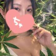 ヒメ日記 2026/09/15 23:48 投稿 桃園　れいな 雅(みやび)