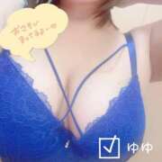 ヒメ日記 2026/01/29 11:56 投稿 ゆゆ 兵庫姫路・加古川ちゃんこ