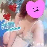 ゆゆ 久しぶりの出勤です- ̗̀ ♡  ̖́- 兵庫姫路・加古川ちゃんこ