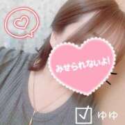 ヒメ日記 2026/03/05 08:21 投稿 ゆゆ 兵庫姫路・加古川ちゃんこ