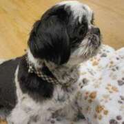 ヒメ日記 2026/02/21 12:05 投稿 らむ ハンドキャンパス池袋