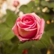 ヒメ日記 2026/02/02 18:03 投稿 あやみ モアグループ南越谷人妻花壇