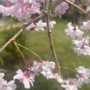 ヒメ日記 2026/03/28 09:48 投稿 あやみ モアグループ南越谷人妻花壇