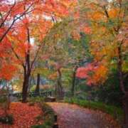 あやみ 今日も秋晴れ☀️🍁 モアグループ南越谷人妻花壇