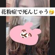 ヒメ日記 2026/03/31 19:08 投稿 あんな 人妻・若妻デリヘル レディプレイス