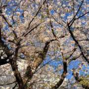 ヒメ日記 2026/04/03 19:09 投稿 あんな 人妻・若妻デリヘル レディプレイス