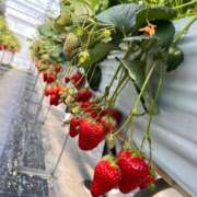 ヒメ日記 2026/04/05 18:55 投稿 あんな 人妻・若妻デリヘル レディプレイス