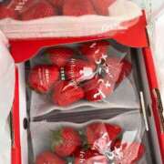 ヒメ日記 2026/04/16 11:55 投稿 あんな 人妻・若妻デリヘル レディプレイス