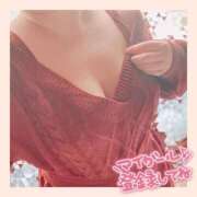 ヒメ日記 2025/12/17 12:25 投稿 おもち 茨城水戸ちゃんこ