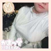 ヒメ日記 2025/12/29 21:26 投稿 おもち 茨城水戸ちゃんこ