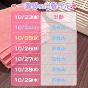 ヒメ日記 2026/10/23 12:55 投稿 かいり 恋愛マット同好会