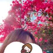 ヒメ日記 2026/03/30 00:04 投稿 りお 沖縄ちゃんこ那覇店