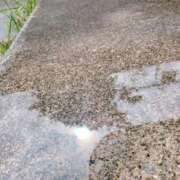 ヒメ日記 2026/03/30 10:24 投稿 りお 沖縄ちゃんこ那覇店