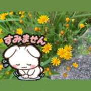 ヒメ日記 2026/04/21 08:14 投稿 りお 沖縄ちゃんこ那覇店