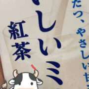 ヒメ日記 2026/06/29 11:44 投稿 りお 沖縄ちゃんこ那覇店