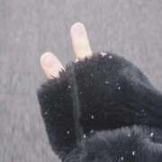 こぐま 出勤しました❄️ 日暮里・西日暮里サンキュー