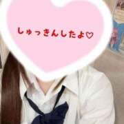 ヒメ日記 2026/06/06 16:14 投稿 みらい みつらん鉄道