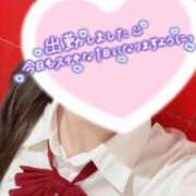 ヒメ日記 2026/06/13 18:04 投稿 みらい みつらん鉄道