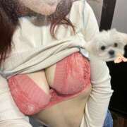 ヒメ日記 2026/04/23 10:51 投稿 ひばり 大奥 梅田店