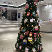 ヒメ日記 2025/12/16 08:35 投稿 石川ゆの セカンドパートナー