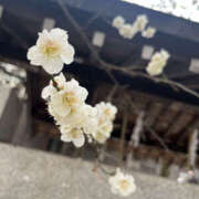 ヒメ日記 2026/02/22 13:20 投稿 石川ゆの セカンドパートナー