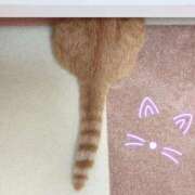 ヒメ日記 2026/01/22 15:33 投稿 とあ 横浜しこたまクリニック